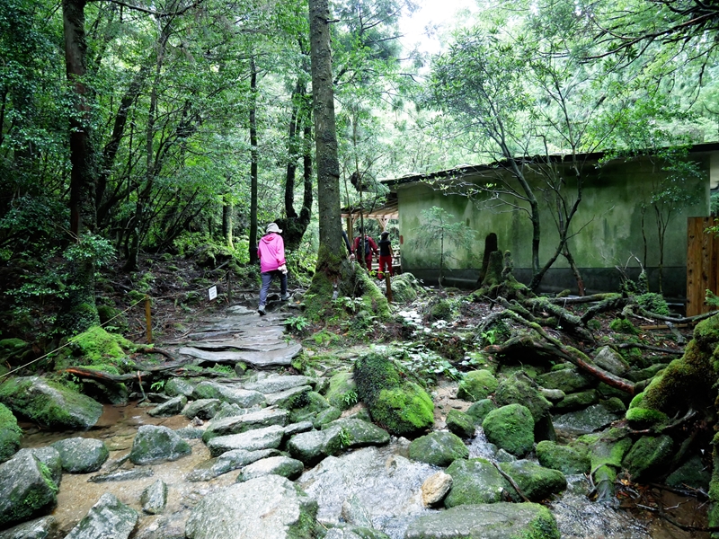 白谷雲水峡のトイレ