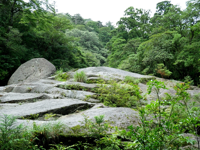 白谷雲水峡の序盤の岩肌の斜面