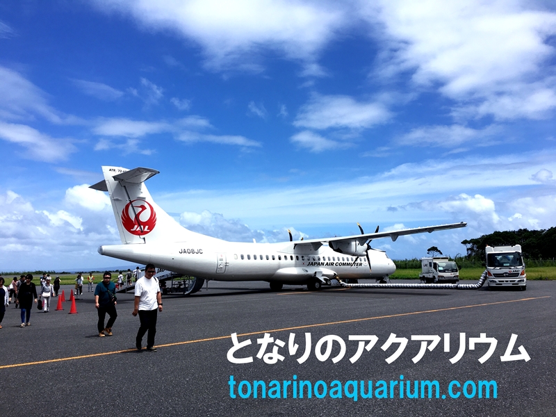 屋久島空港とJALのプロペラ機