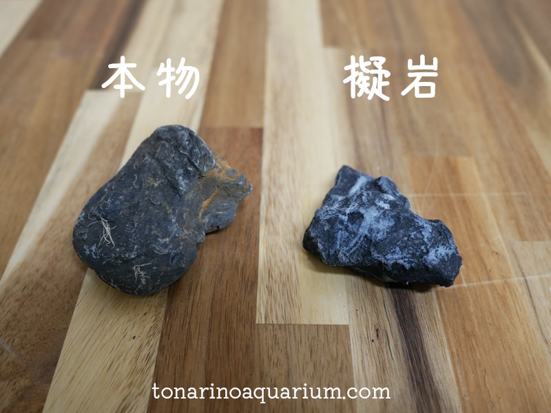 本物の石と擬岩の差